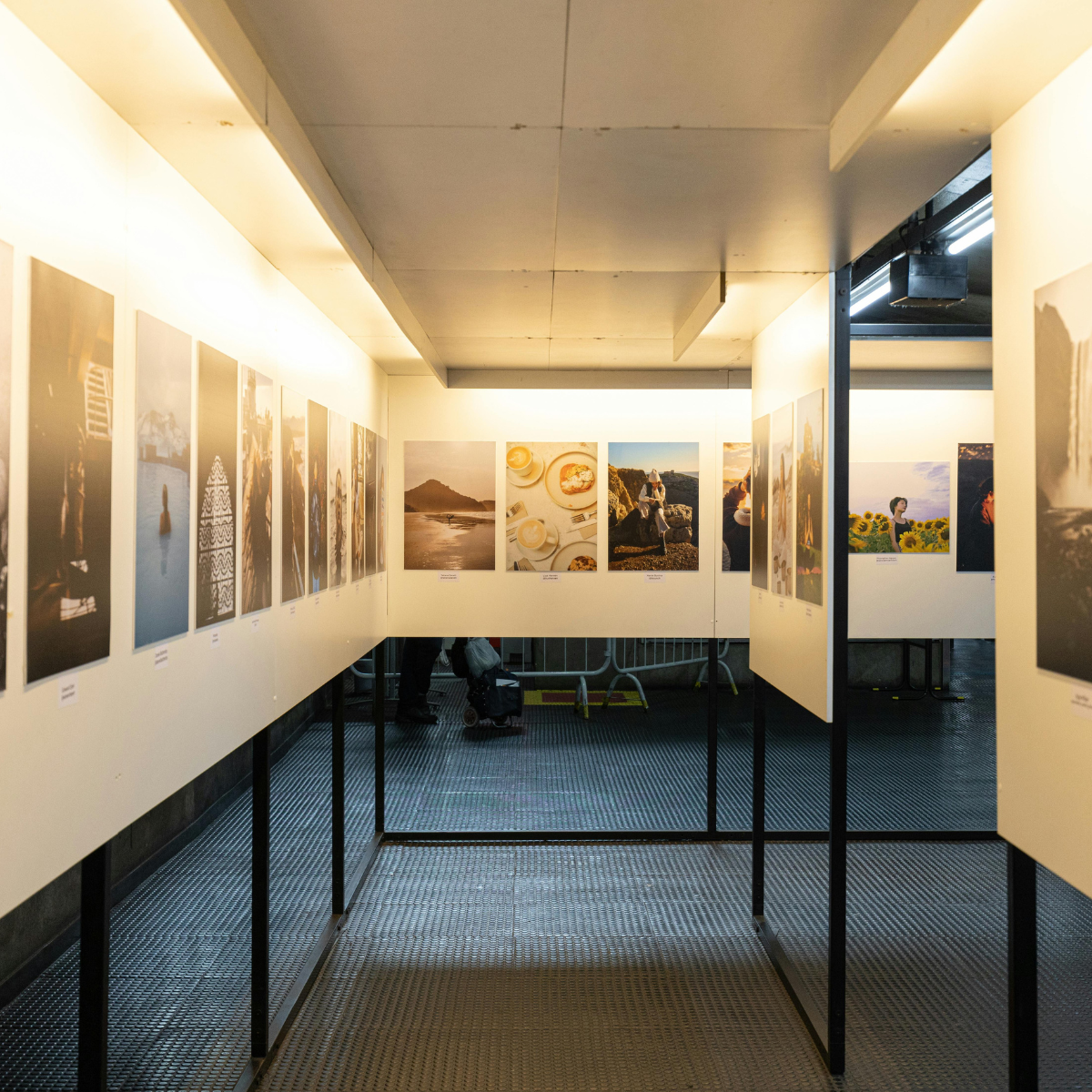 exhibition